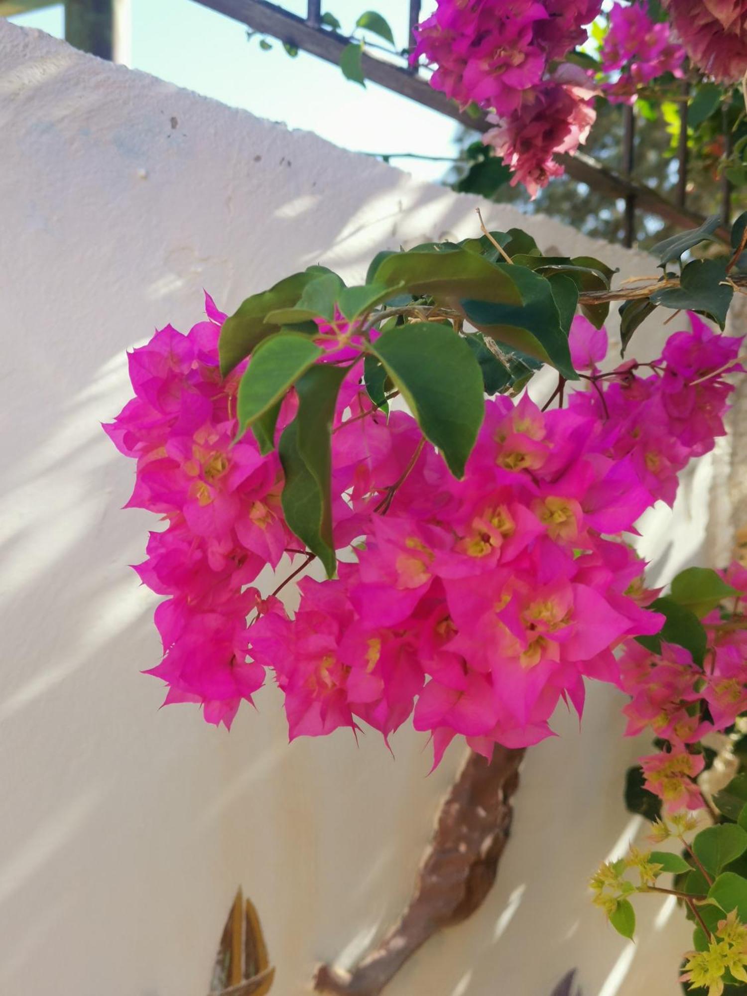 Eden Guesthouse Sardina Luaran gambar